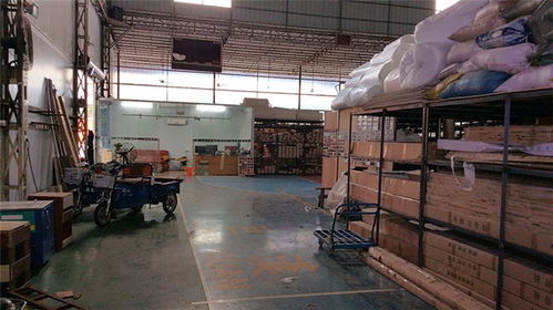 立美建材 專業運動館木地板生產商，品質保障與高清展示